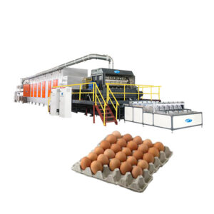 Dây Chuyền Sản Xuất Khay Trứng Tái Chế Tự Động